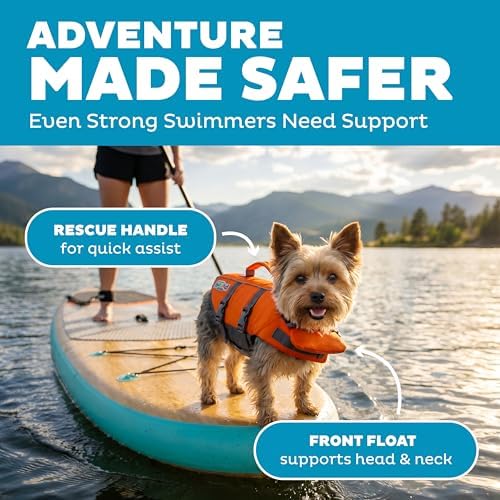 Outward Hound Granby Splash Dog Life Jacket, Life Vest, Orange, X-Small