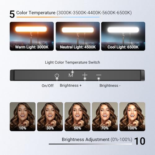 NEEWER Basics Desktop LED Light Kit with 11" Stand/Monitor Clamp, 2 Pack(12W) CRI95 Bi Color Video Conference Zoom Lighting for Laptop Computer Webcam, Compatible with iPhone Video Recording, L10