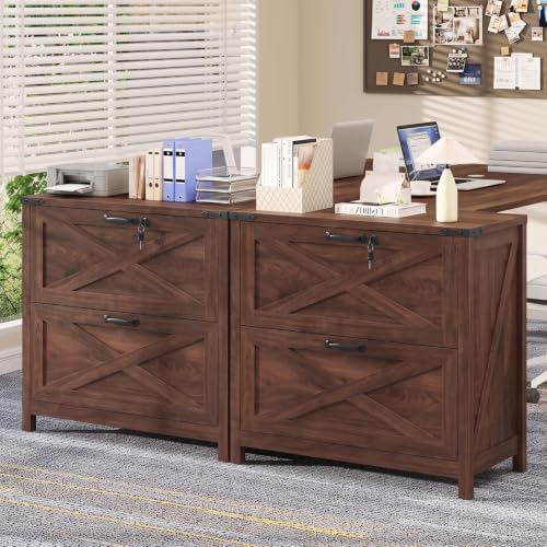 Halitaa Farmhouse Lateral File Cabinet with 2 Drawers, Walnut