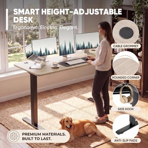 Furmax 55 Inches Electric Height Adjustable Standing Desk Home Office Desk