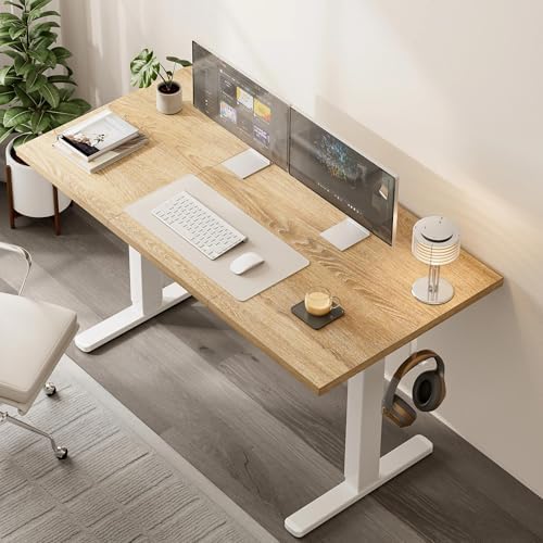Acrolix 48x24 Electric Standing Desk with Cable Net, Oak