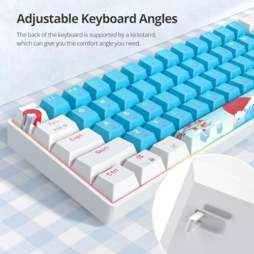 Owpkeenthy 60% Wired Mechanical Keyboard