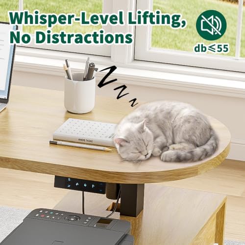 Electric L Shaped Standing Desk, Corner Sit Stand Up Desk, Executive Desk