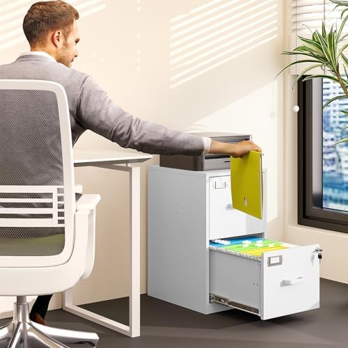 BYNSOE 2 Drawer File Cabinet with Lock Vertical Filing Storage Office Home Steel Vertical File Cabinets for Letter Size File Cabinet Locked,Assembly Required