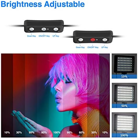 Neewer Dimmable 5600K USB LED Video Light with Pro Adjustable Tripod Stand and Color Filters, 2-Pack for Tabletop/Low-Angle Shooting, Zoom/Video Conference Lighting/Gaming/YouTube Video/Photography