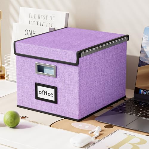 File Organizer Box with Lids, Collapsible File Folder Organizer