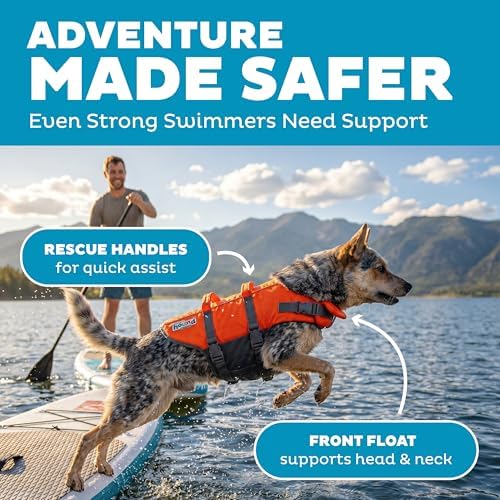 Outward Hound Granby Splash Dog Life Jacket, Life Vest, Orange, Medium