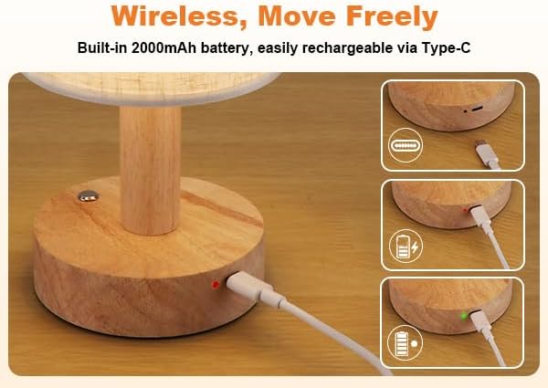 Rechargeable Cordless Table Lamp, Touch Stepless Dimming with Memory