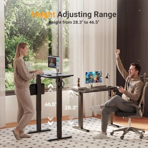 YDN Electric Standing Desk, 32x19 Inch, Black
