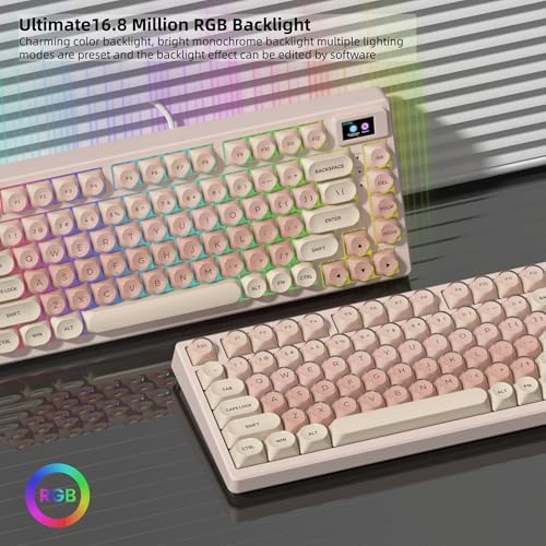 Womier SK80 75% Foundation Mechanical Keyboard with Multimedia Display