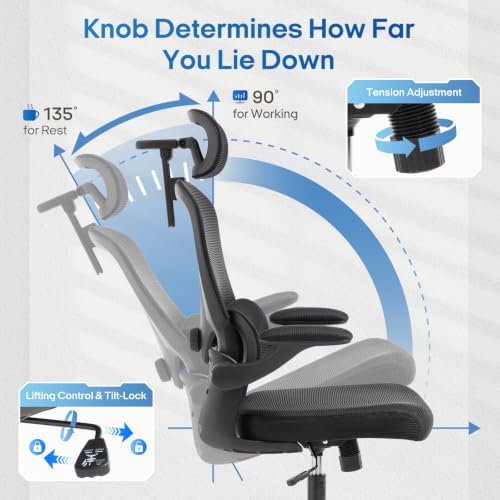 LuxErgo Ergonomic Office Chair, High Back Home Office Chair with 4D Adjustable Headrest & Lumbar Support, 330lbs Capacity Mesh Desk Chairs with Flip-Up Arms, Comfortable Computer Chairs, Black