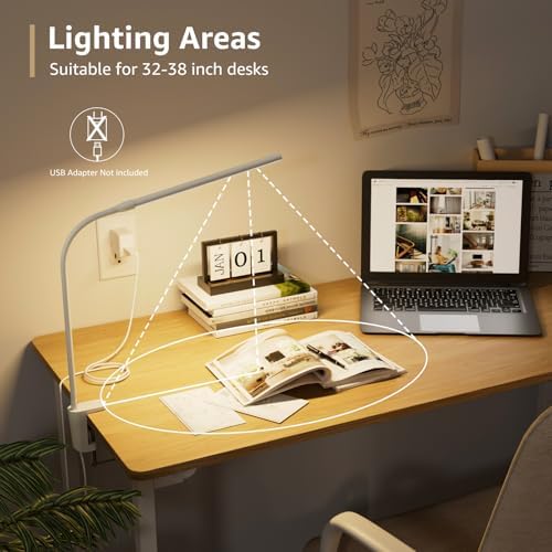 Lepro Small Desk Lamp with Clamp, LED Reading Lamps, 460LM, 5W, White