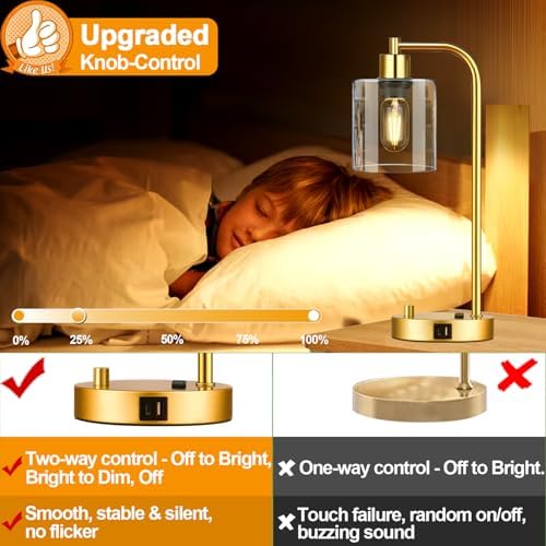 Lynnoland Set of 2 Industrial Table Lamps with USB Port, Gold Fully Stepless Dimmable Bedside Lamps for bedrooms, Nightstand Desk Lamp with Clear Glass Shade for Reading Living Room Office 2 LED Bulb