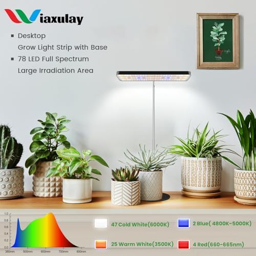 Wiaxulay Grow Lights for Indoor Plants,11in Full Spectrum Desk Growing Lamp