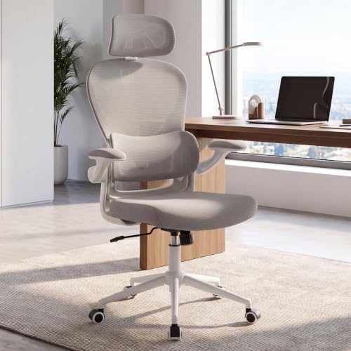 LuxErgo Ergonomic Office Chair, High Back Home Office Chair with 4D Adjustable Headrest & Lumbar Support, 330lbs Capacity Mesh Desk Chairs with Flip-Up Arms, Comfortable Computer Chairs, Gray