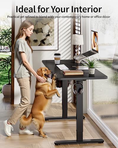 BIZUM Electric Standing Desk 60 x 24 Inch Computer Desk-Gaming Desk Black Home Office Desks Height Adjustable Memory Stand Up Computer Workstation
