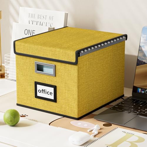 File Organizer Box with Lids, Collapsible File Folder Organizer
