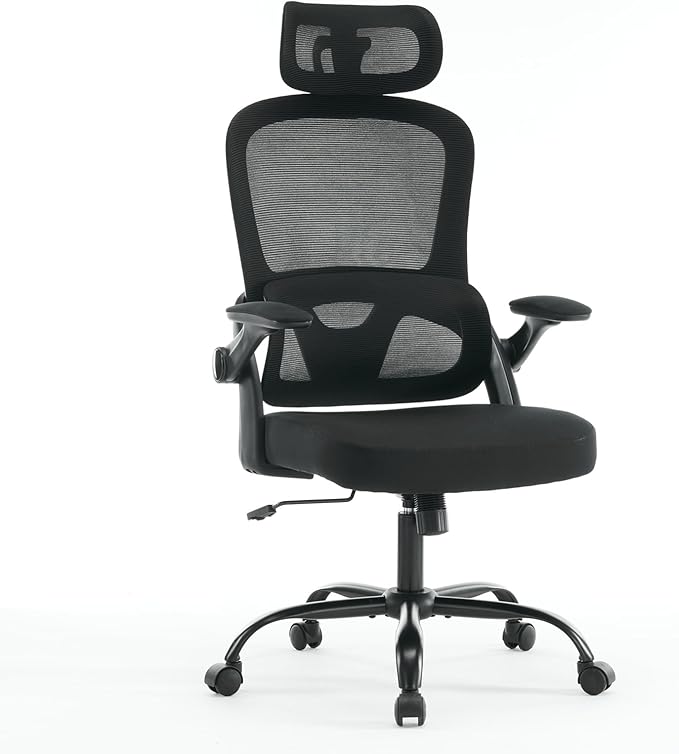 Ergonomic Mesh Office Chair, High Back Desk Chair with 3D Armrests, Up&Down Lumbar Support, Swivel Computer Task Chair with Adjustable 2D Headrest and Tilt Function(Black)