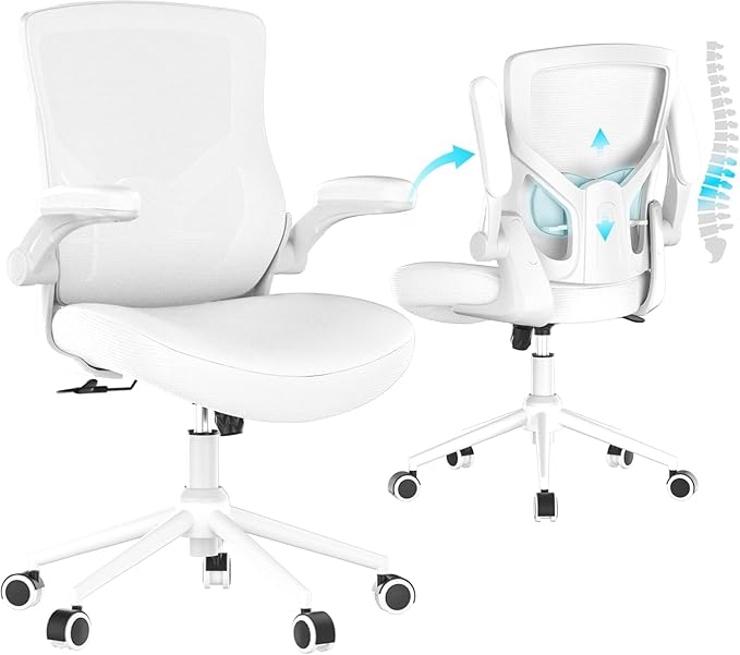 CYKOV Office Chair, High Back Desk Chair Adjustable Height and Ergonomic Design Home Office Computer Chair Executive Lumbar Support Padded Flip-up Armrest Swivel Task Chair (Black-White)
