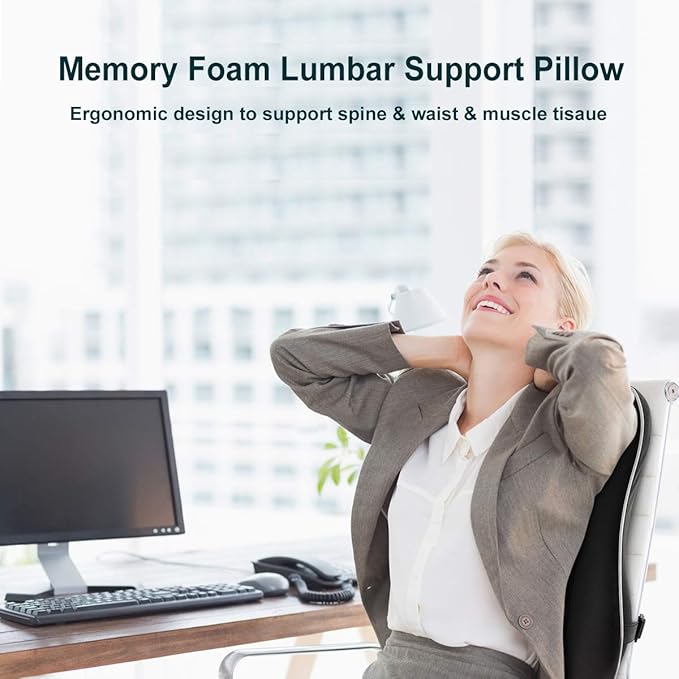 Lumbar Support Pillow/Back Cushion,Memory Foam Orthopedic Backrest with Breathable 3D Mesh for Car Seat,Office/Computer Chair,Wheelchair and Recliner,Ergonomic Design for Back Pain