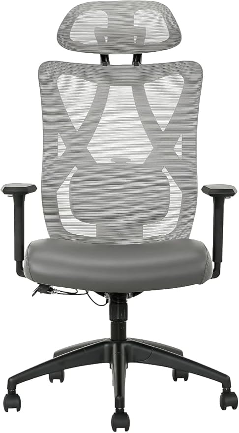 SitTrue Ridgefield Ergonomic Mesh/Vegan Leather High-Back Task