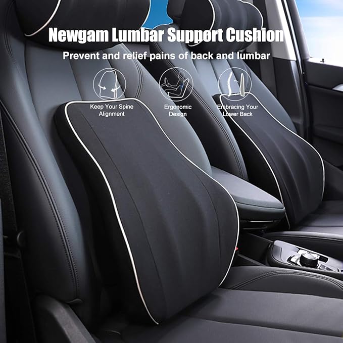 Lumbar Support Pillow/Back Cushion,Memory Foam Orthopedic Backrest with Breathable 3D Mesh for Car Seat,Office/Computer Chair,Wheelchair and Recliner,Ergonomic Design for Back Pain