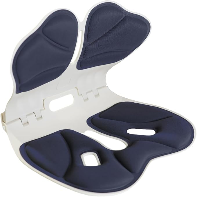 Lumbar Ergonomic Support for Office Chair Back Lumbar Support Ergonomic Back Support Pad Suitable for Office Chairs