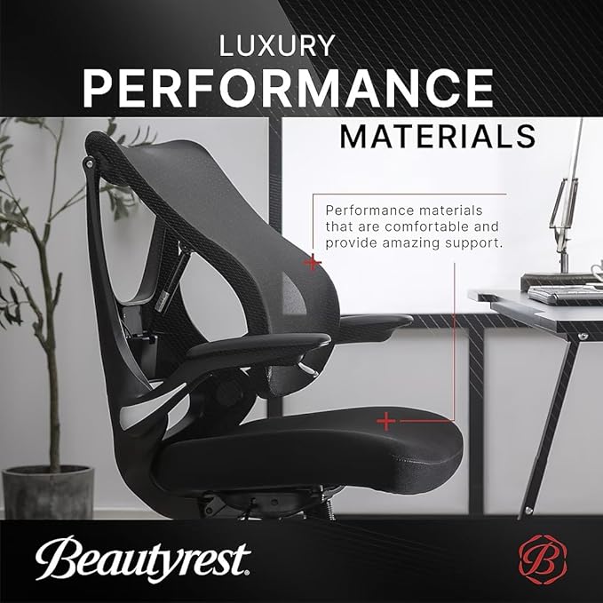 Living Style Beauty Rest ErgoMax Ergonomic Mesh Swivel Task Chair, Black