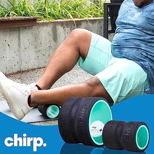 Chirp Wheel+ Foam Roller 2-Pack, Back & Neck Pain Relief, Mint