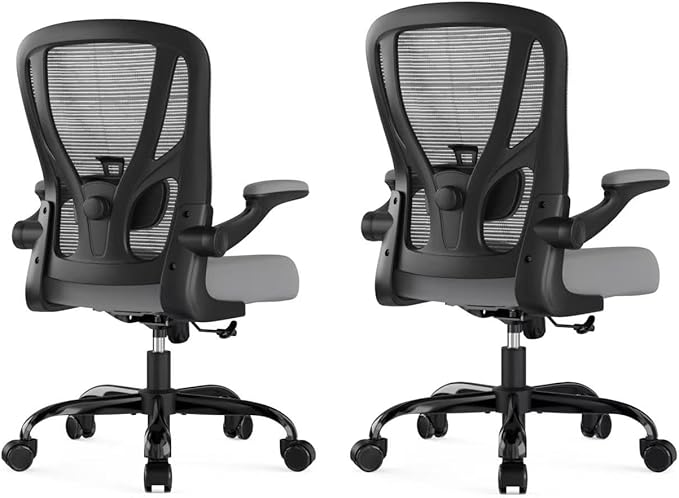 Office Chair Ergonomic Desk Chair - Mesh Computer Chair Breathable Task Chair with Wheels Adjustable Lumbar Support Home Desk Office Chairs with Flip up Armrest Gray 2 Pack