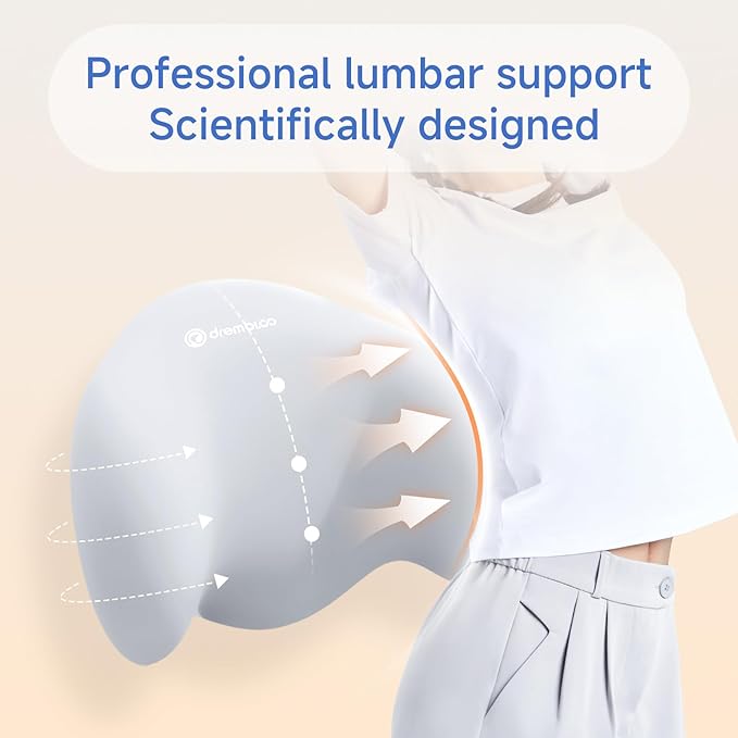 Lumbar Support Pillow for Office Chair, Extra Dense Memory Form Pillow Lumbar Pillow for Car, Back Support Pillow for Recliner Chair, Chair Back Support for Lower Back Pain Relief