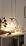 Shenmoyl Tulip Table Lamp, 5200mAh Cordless Touch Control Table Lamp with 3 Color Temps & Stepless Dimming, Rechargeable Battery Table Lamp for Living Room, Bedroom, Office, Shelf (Transparent Tulip)