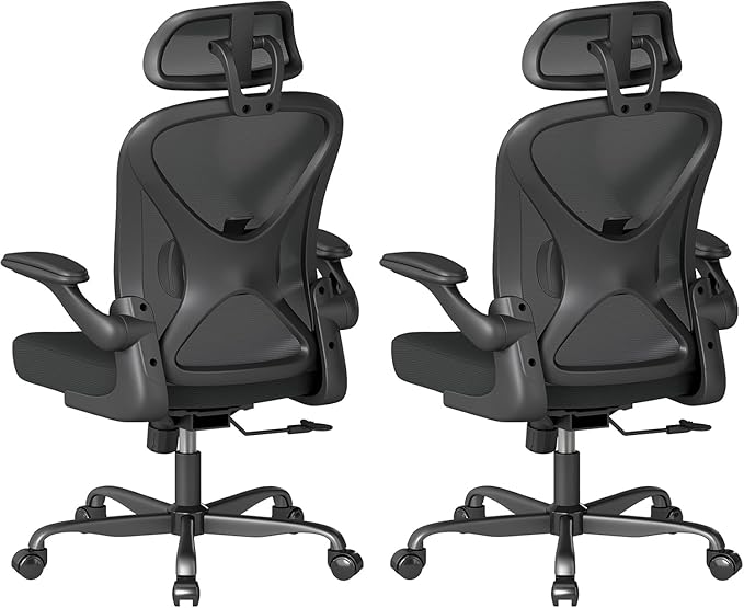 Ergonomic Mesh Office Chair, Home Computer Chair with Flip-Up Armrests, Adjustable Lumbar Support and Headrest, Height Adjustment, Smooth Casters, and 360° Swivel, 2PC, Black