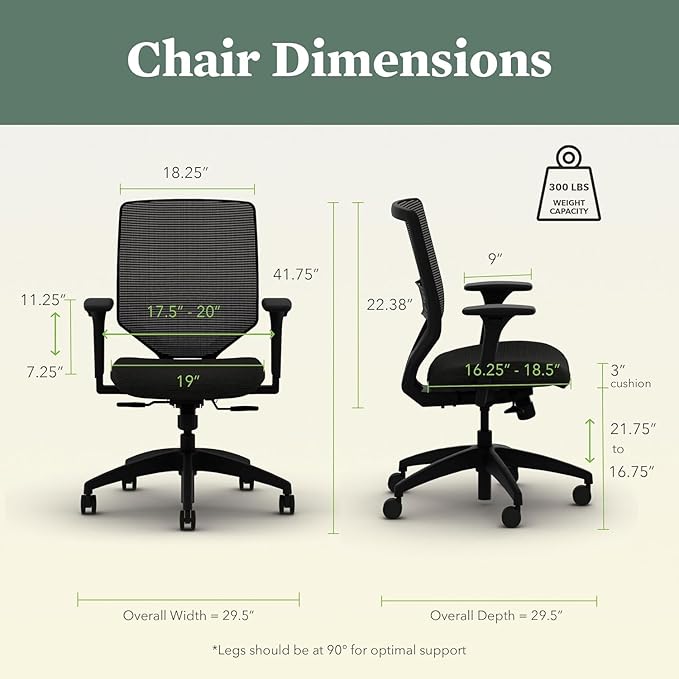 HON Solve Office Chair, Ergonomic Office Chair Mesh Back Support, Adjustable Lumbar Support, Height Adjustable Arms, Black Frame, Iris
