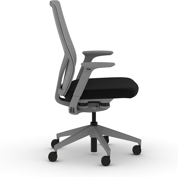 HON Flexion Mesh Office Chair, Height Adjustable Arms, Conference Room Chairs with Lumbar Support, Titanium Mesh, Titanium Frame, Black