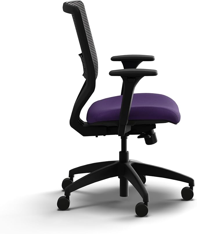 HON Solve Office Chair, Ergonomic Office Chair Mesh Back Support, Adjustable Lumbar Support, Height Adjustable Arms, Black Frame, Iris