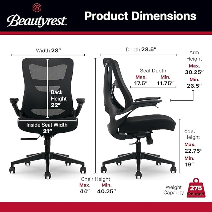 Living Style Beauty Rest ErgoMax Ergonomic Mesh Swivel Task Chair, Black