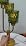 Lightdot Mid Century Modern Green Table Lamp Vintage Dimmable Gift
