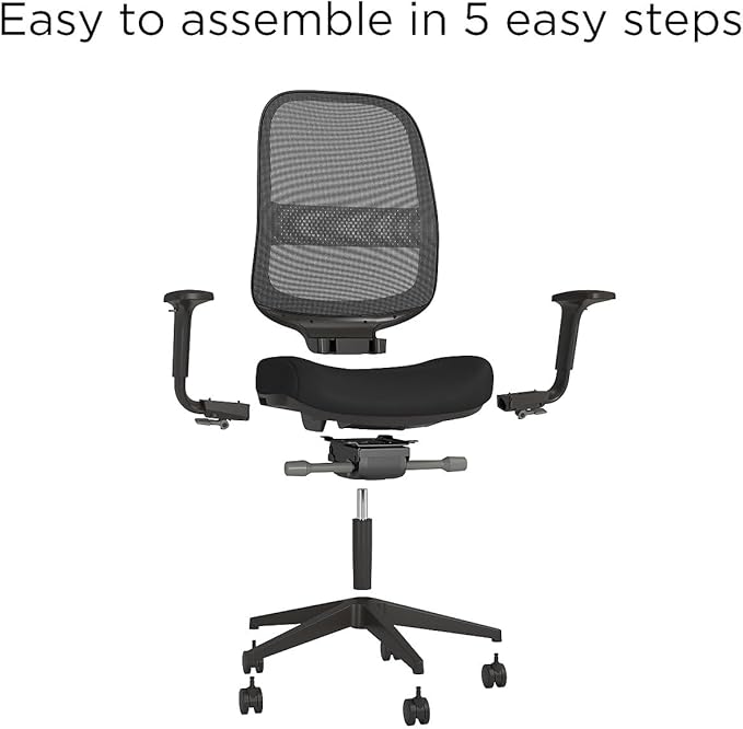 Workplace 2.0 Ergonomic Task Chair, Mesh, Ergonomic, Lumbar Support, Adjustable Height, Black