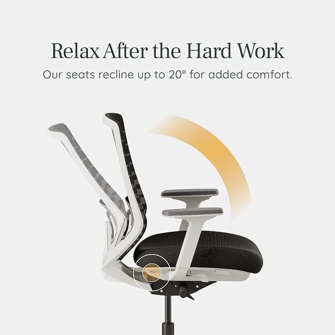 Branch Ergonomic Chair - A Versatile Desk Chair with Adjustable Lumbar Support, Breathable Mesh Backrest, and Smooth Wheels - Experience Optimal Comfort and Support - Baltic