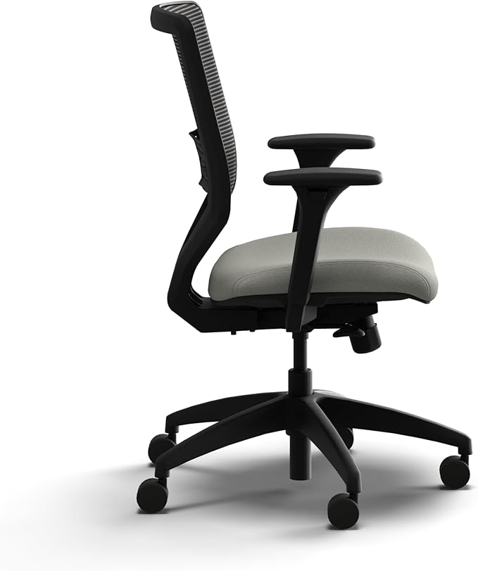HON Solve Office Chair, Ergonomic Office Chair Mesh Back Support, Adjustable Lumbar Support, Height Adjustable Arms, Black Frame, Fog