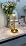 Shenmoyl Set of 2 Tulip Table Lamp with 5000mAh Battery & Touch Control, Cordless Table Lamp with 3 Colors, Dimmable Rechargeable Table Lamps for Bedroom, Living Room, Entryways (Transparent Tulip)