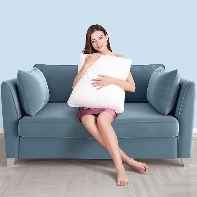 AM AEROMAX 20 ×20 Throw Pillow Memory Foam Pillow Insert - Square Accent Pillow for Decorative Cushion Bed Couch Sofa - Non-Deforming Over Time