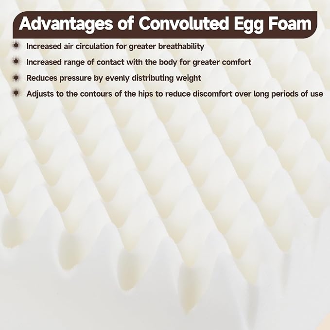 HOMBYS Egg Shaped Foam Recliner Chair Cushion for Elderly, 20×20×5inch Thicken & Extra Large Seat Cushion Cahir Pad for Couch, Armchair, Wheelchair for Easy to Reduce Hip & Lumbar Pain, Black