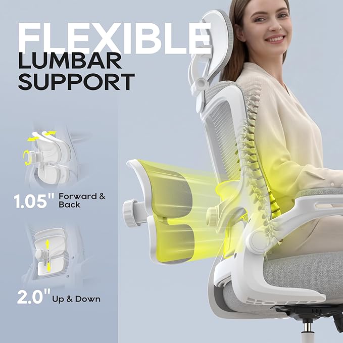 Office Chair, Ergonomic Mesh Desk Chair with Adjustable Lumbar Support and Headrest, Flip-up Armrests, High Back Computer Task Chair for Home and Executive Office (W-All Grey)