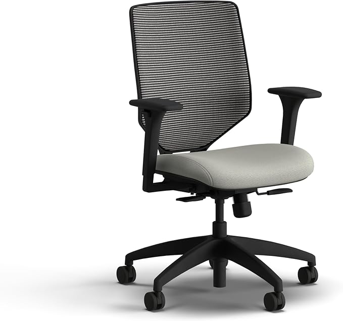 HON Solve Office Chair, Ergonomic Office Chair Mesh Back Support, Adjustable Lumbar Support, Height Adjustable Arms, Black Frame, Fog