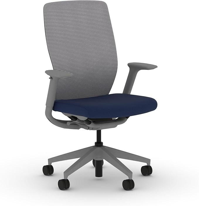 HON Flexion Mesh Office Chair, Height Adjustable Arms, Conference Room Chairs with Lumbar Support, Titanium Mesh, Titanium Frame, Indigo