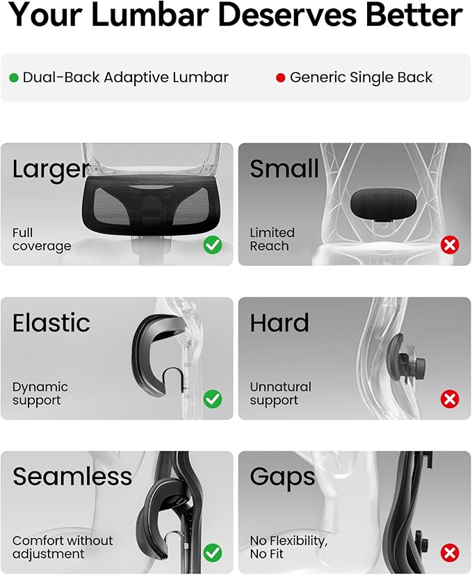SIHOO Ergonomic Office Chair, Desk Chair with Armrests, Computer Chair with Dual Back Design and Adaptive Dynamic Lumbar Support, Dark Black