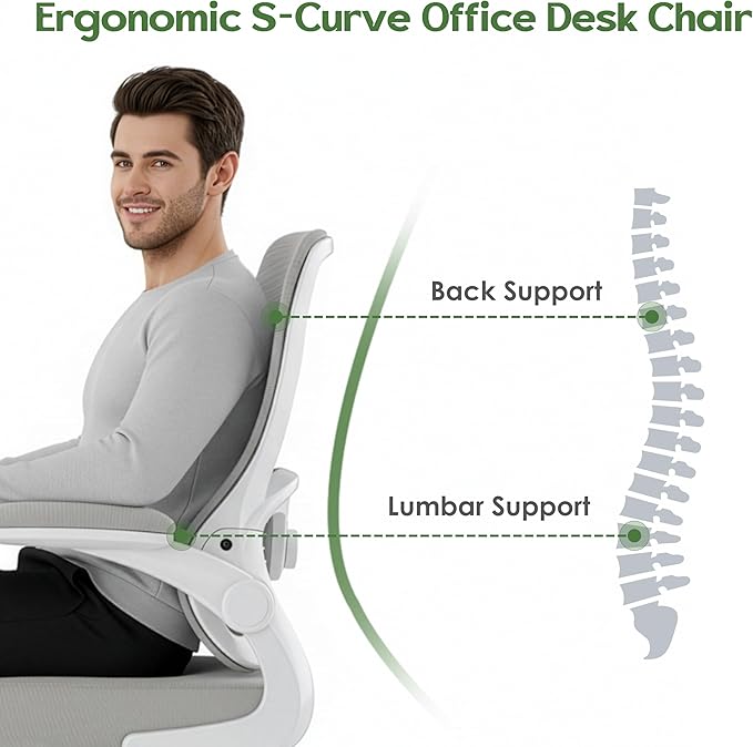 Office Chair Ergonomic Desk Chair - Mesh Comfy Home Desk Office Chairs with Wheels Adjustable Lumbar Support Flip up Armrest Executive Rolling Swivel Teacher Task Computer Chair Light Gray