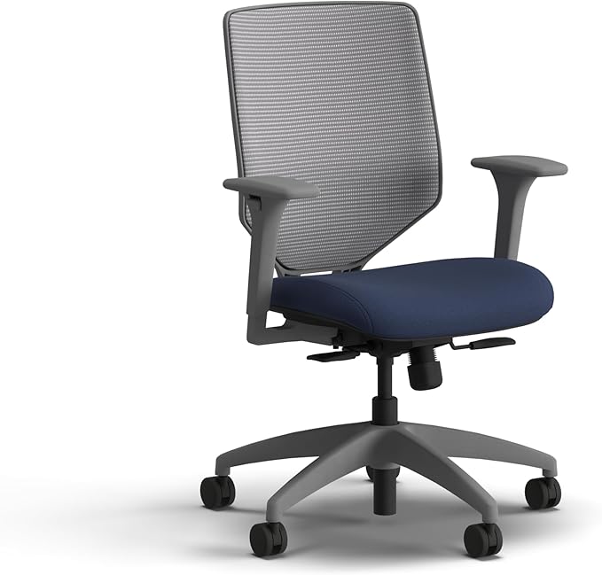 HON Solve Office Chair, Ergonomic Office Chair Mesh Back Support, Adjustable Lumbar Support, Height Adjustable Arms, Titanium Frame, Indigo